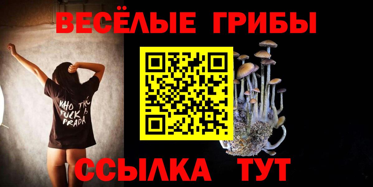 Галлюциногенные грибы мицелий Сокол